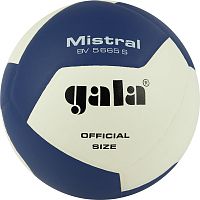 Купить мяч волейбольный gala mistral 12, размер 5, bv5665s,бело-синий по низким ценам в интернет-магазине tovarysam.ru  в Самаре.