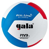 Купить мяч волейбольный gala pro-line 12, fivb, профессиональный, размер 5,бело-голубой-красный по низким ценам в интернет-магазине tovarysam.ru  в Самаре.